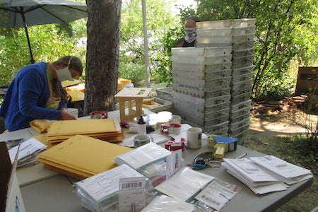 The Blue Wave Process Part Four: Postcard Kits and Local Distribution