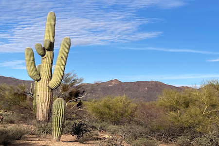 Blue Wave Postcard Movement's Winter Break 2022/2023 Adventures