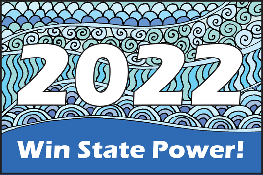 Why It Is important To Focus On State Races In The 2022 Midterms