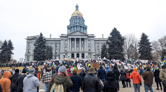 National Day of Peaceful Protests on 2/17/2025