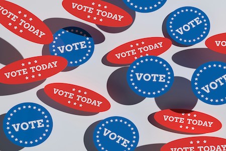 Save Democracy and VOTE! {Guest Post}