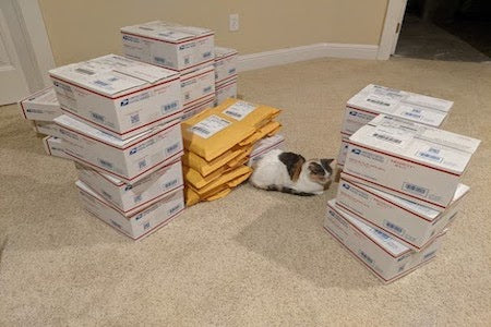 The Blue Wave Process Part Three: Where's My Package?