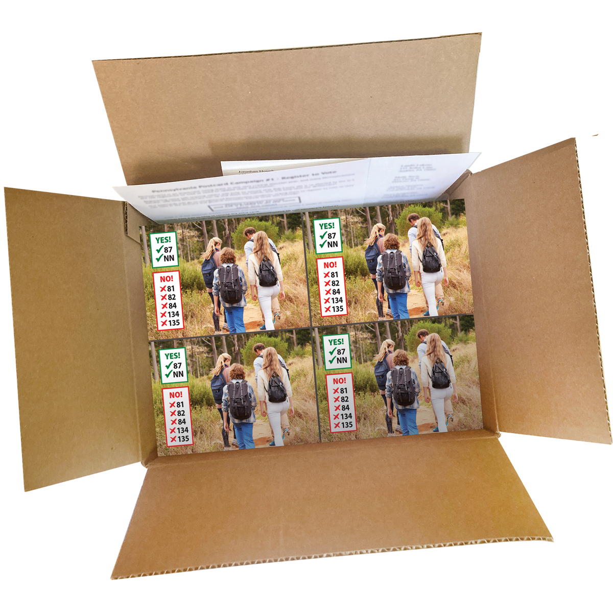 Colorado Get Out the Vote Postcard Box (2000 postcards and address labels)
