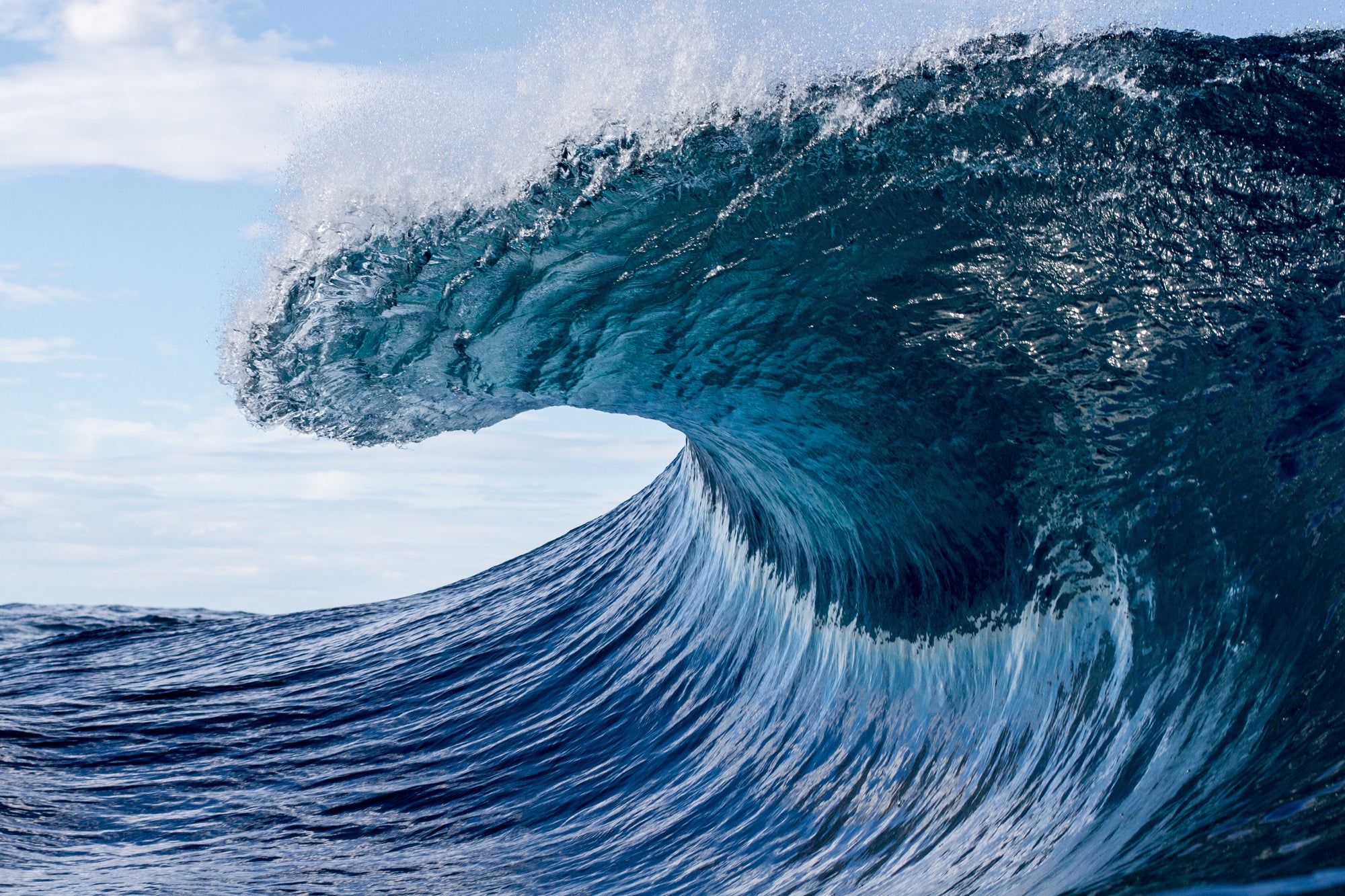 Donate! – Blue Wave Postcard Movement